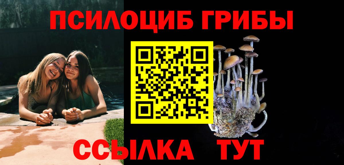 Сухой Лог  Галлюциногенные грибы GOLDEN TEACHER  Псилоцибиновые грибы Magic Shrooms  Вход с VPN 